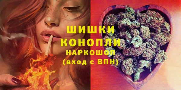 спайс Богданович